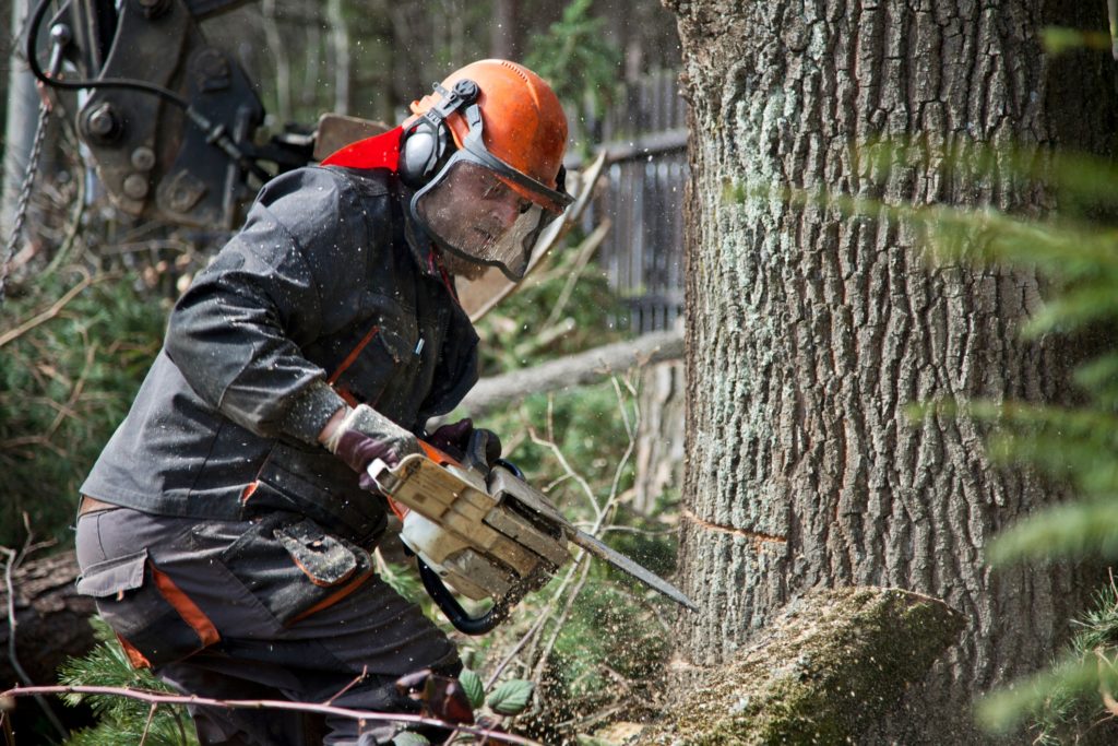 Forestry Log Procurement