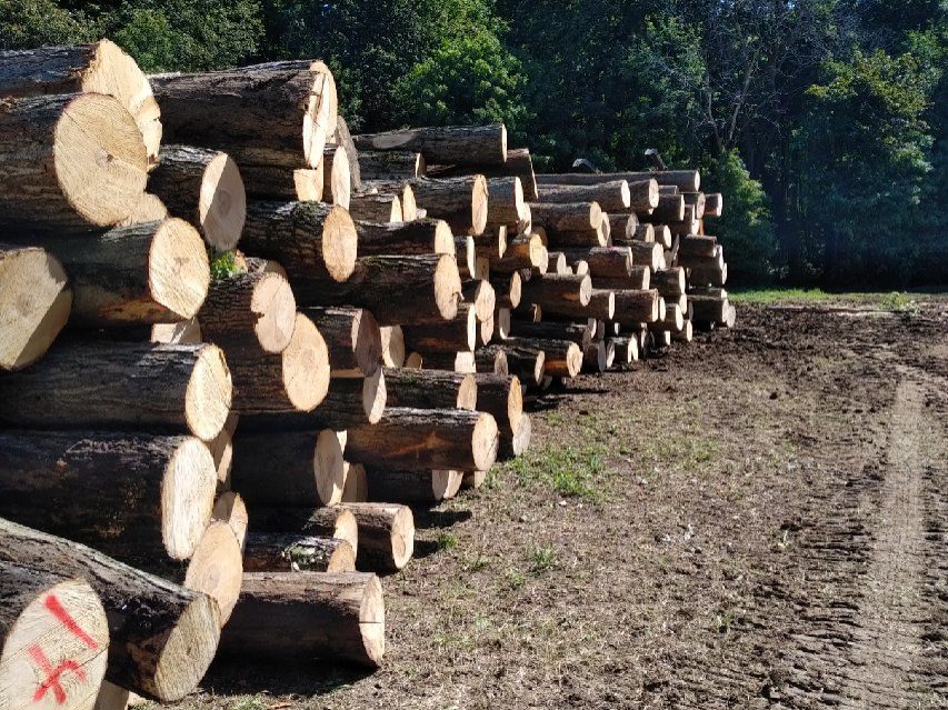 Industrial Lumber Townsend Lumber