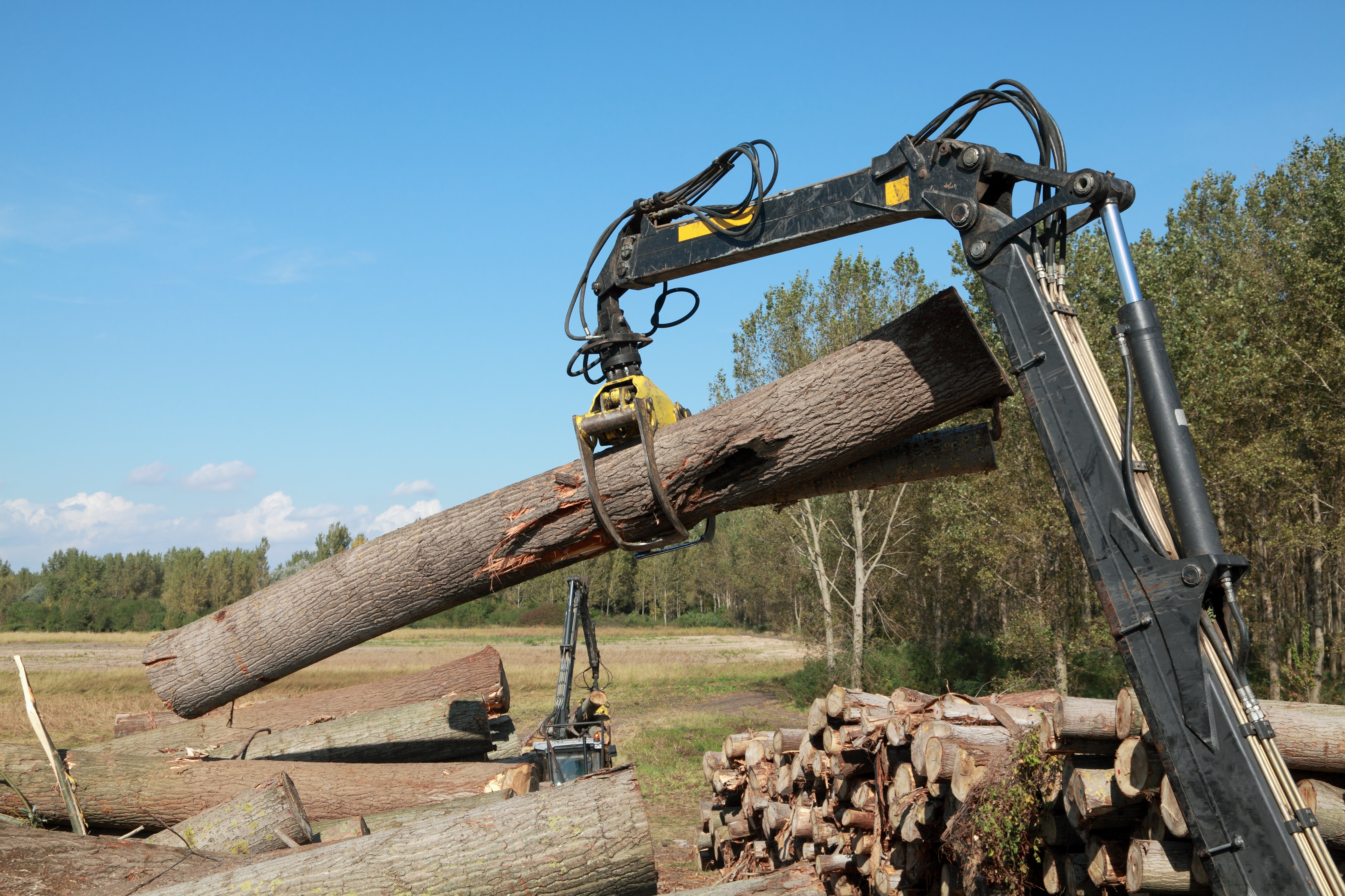 Crane with jaws loading logs onto a stack